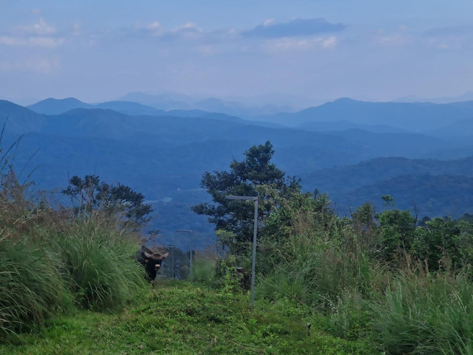 Mountain View Homestay 테카디 외부 사진